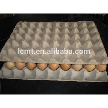Der hochwertige 30 Eierkarton mit kompletter Versorgung